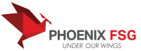 Phoenix healthcare consultants, llc