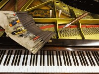 Pianos in tune, llc