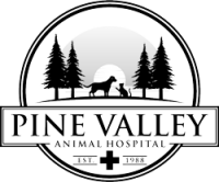 Pine valley animal hospital