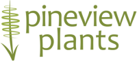 Pineview nursery