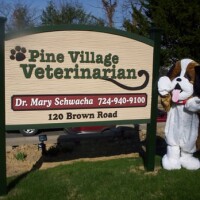 Pine village veterinarian llc