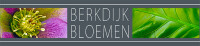 De Bloemist