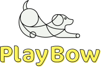 Playbow dog daycare