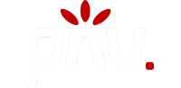 Pnv d.o.o., produkcija novih vizij