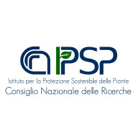 Ponte partners