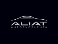Precision auto leasing inc