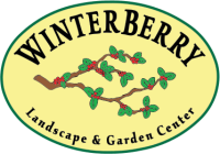 Winterberry Garden