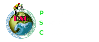 Precision surveys
