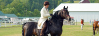 Denlore Morgan Horse farm