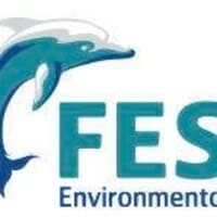 Ferguson Environmental Services