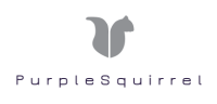 Purple squirrel management consulting llc