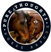 Pure thoughts inc