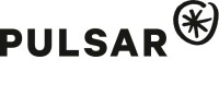 Pulsar computing
