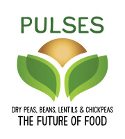 Pulse program