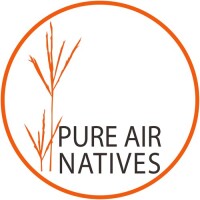Pure air natives