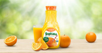 Florida fruit juices, inc