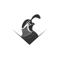 Quail constructions