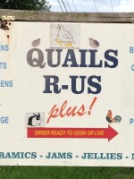 Quails r us plus