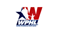 Pro hockey vision