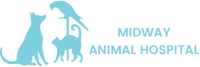 Queens midway animal hospital
