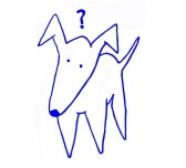 Quiz dog productions