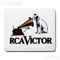 Radio dog recording
