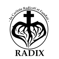 The radix group