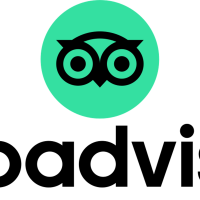 Raging owl