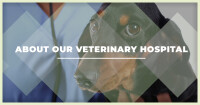 Rancho regional veterinary hospital, inc.