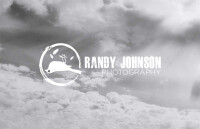 Randy johnson consulting