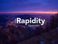 Rapidity networks