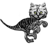 Raptorcat