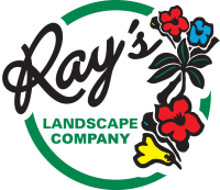 Rays landscaping