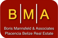 Boris mannsfeld and associates