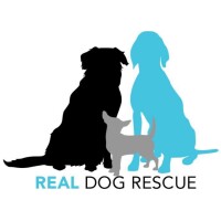 Real dog rescue, inc.