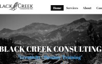 Black creek consulting inc.