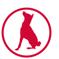 Red dog graphics