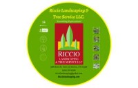 Riccio landscaping llc