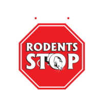 Rodents stop