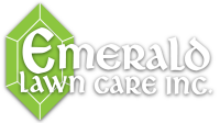 Rolling meadows lawn care