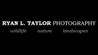 Ryan l. taylor photography