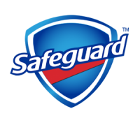 Safeguard america