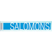 Salomon partners