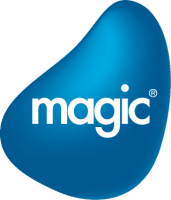 Magic Software Enterprises India Pvt. Ltd.