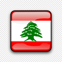Intermedic (jean farah & co)