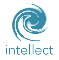 Intellect Security Ltd