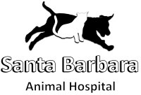 Santa barbara pet hospital inc