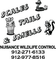 Scales, tails & smells nuisance wildlife control