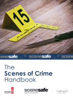 Scenesafe corporation