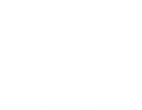 Scharbauer foundation